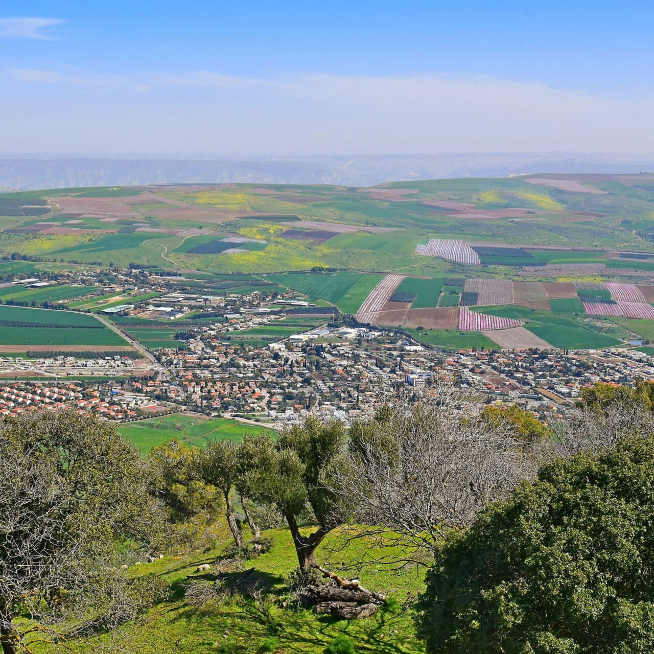 Jezreel Valley, Lower Galilee, Israel